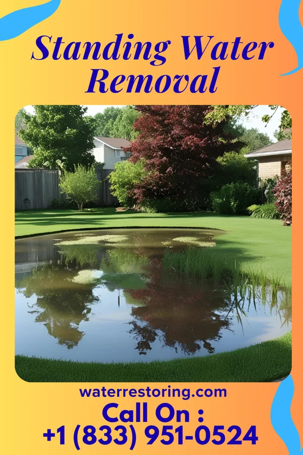 Standing Water Removal in Belgrade, NE